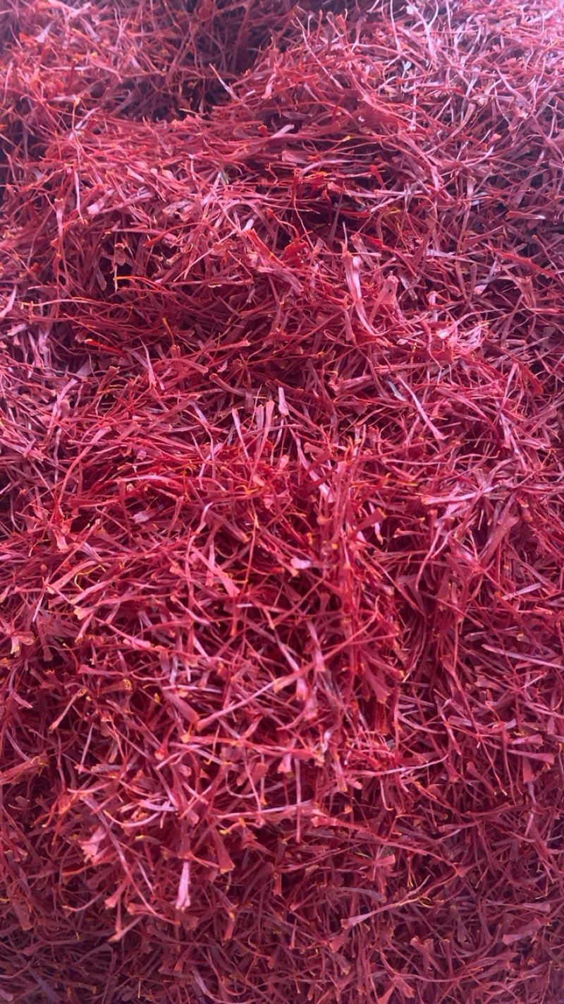 藏红花伊朗进口10克一瓶包邮品藏红花假一赔十包退，