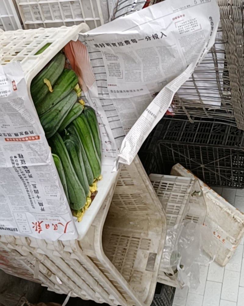 鲜花丝瓜，精品带花肉丝瓜，精品威远鲜花丝瓜