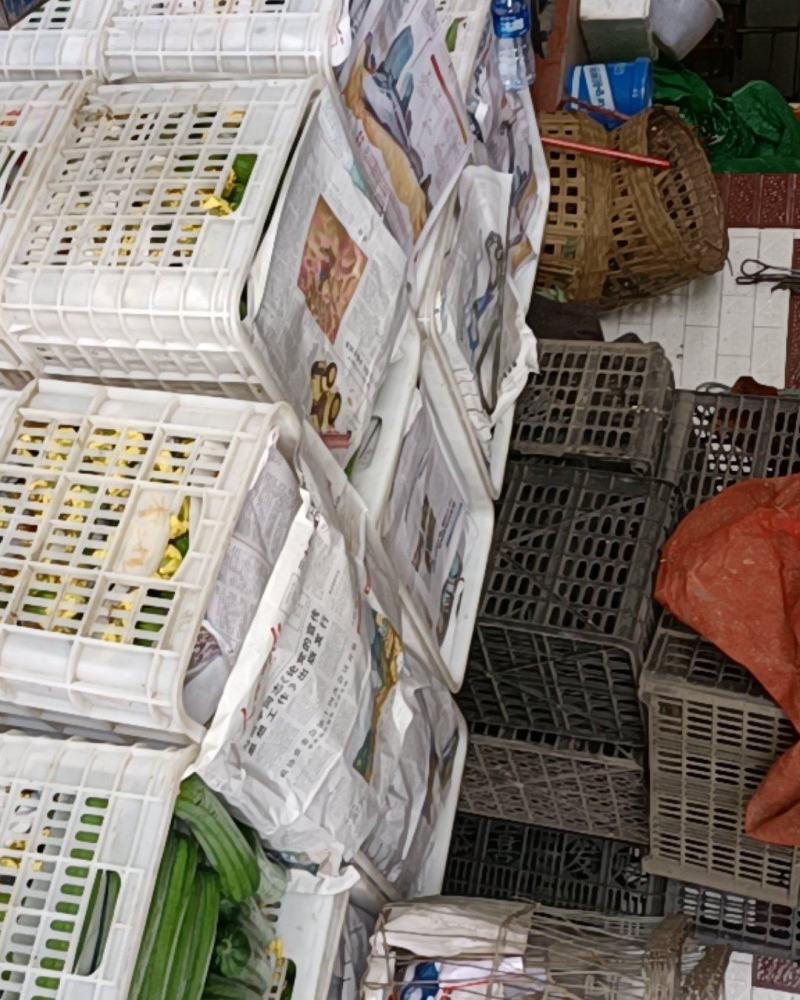 鲜花丝瓜，精品带花肉丝瓜，精品威远鲜花丝瓜