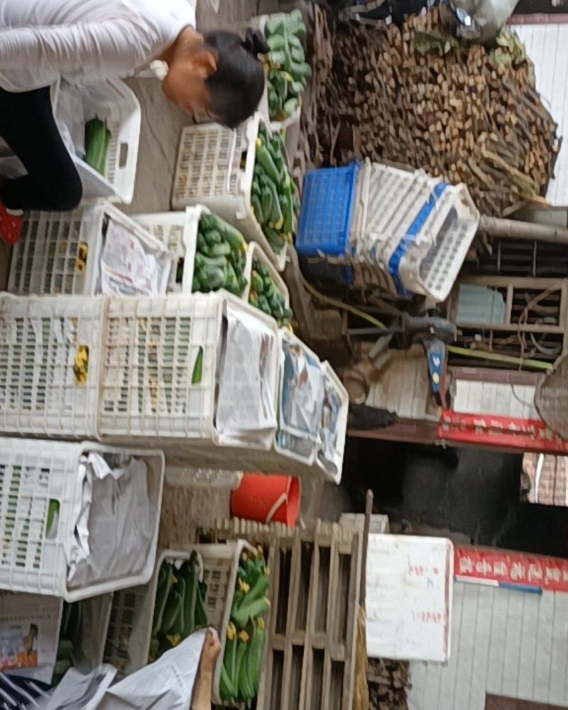 鲜花丝瓜，精品带花肉丝瓜，精品威远鲜花丝瓜