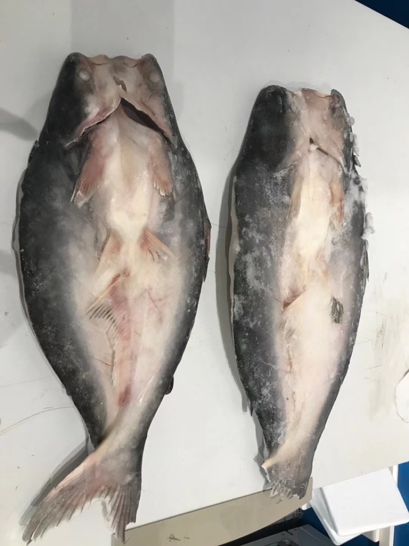 巴沙鱼柳开背/烤鱼食材