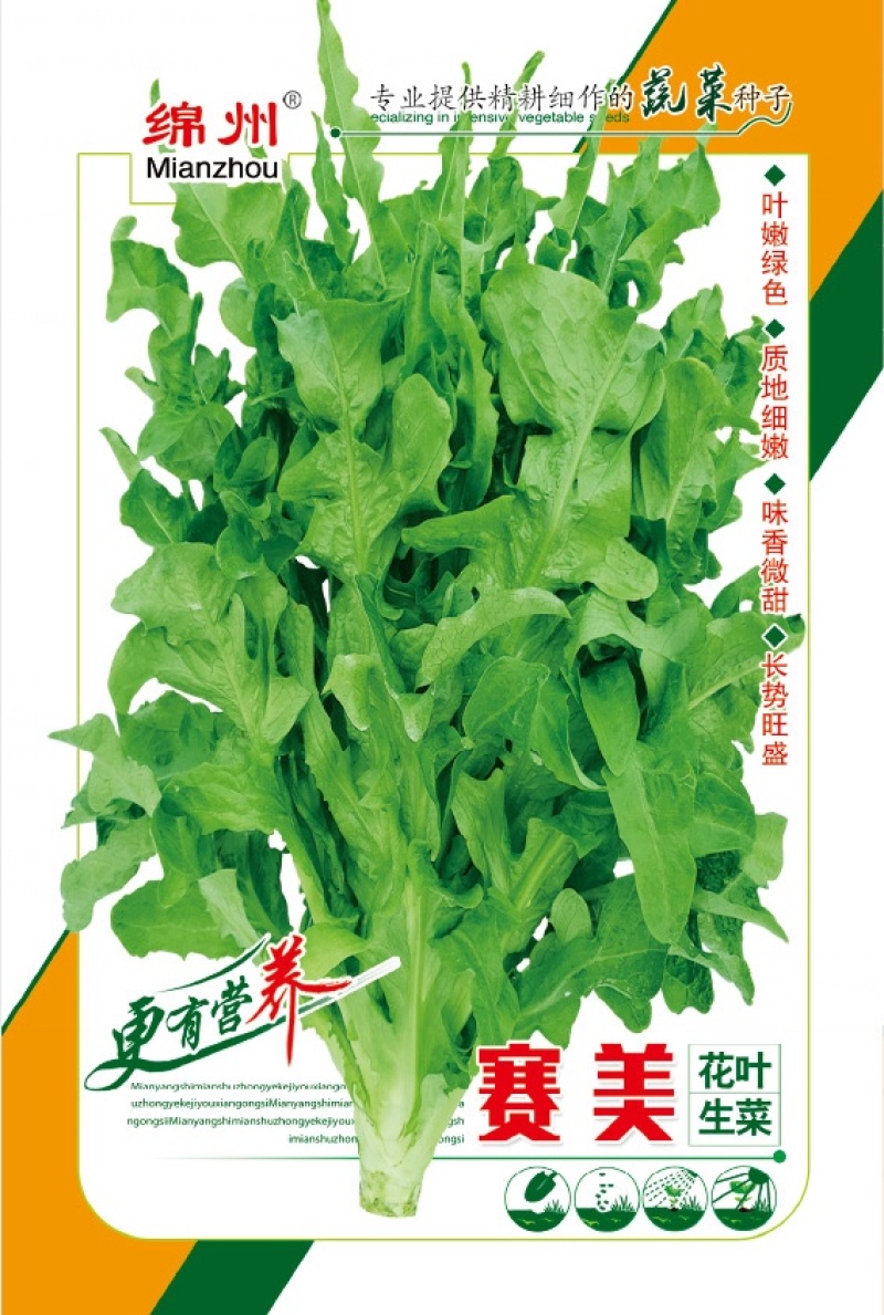 绵蔬赛美花叶生菜/生菜种子/叶菜种子/蔬菜种子