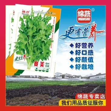 绵蔬赛美花叶生菜/生菜种子/叶菜种子/蔬菜种子