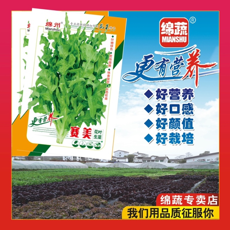 绵蔬赛美花叶生菜/生菜种子/叶菜种子/蔬菜种子