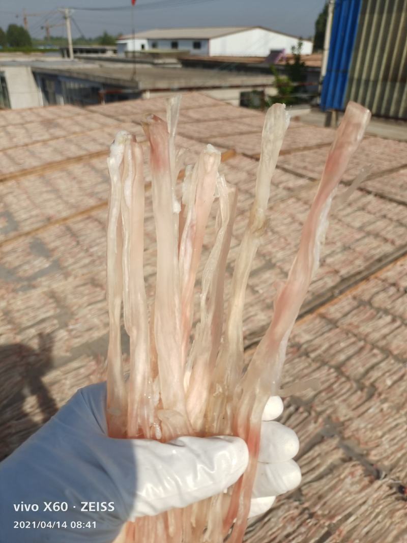 禽畜初加工品自家生产货源充足纯干蹄筋