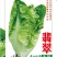 绵蔬翡翠生菜/生菜种子/叶菜种子/蔬菜种子