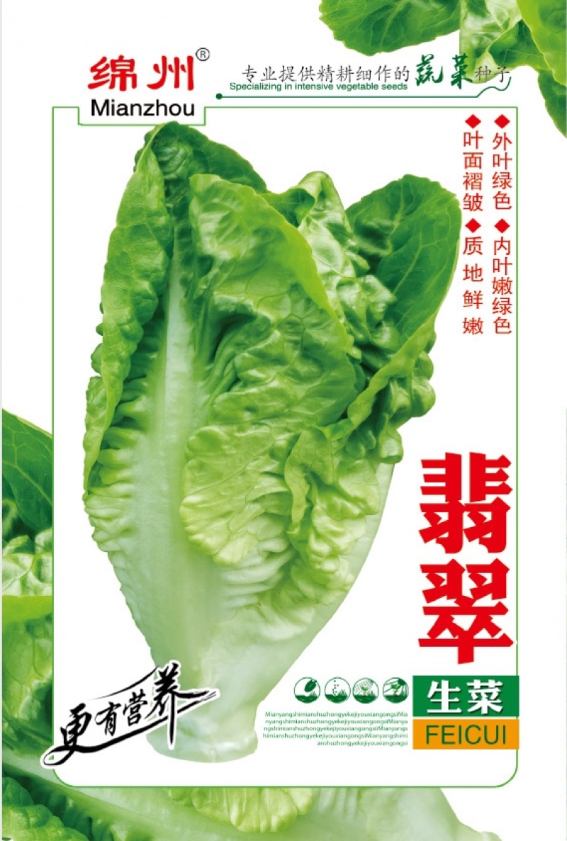 绵蔬翡翠生菜/生菜种子/叶菜种子/蔬菜种子