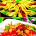 海蛏干竹节蛏子干炒菜煲汤凉拌鲜香美味爽口干货包邮