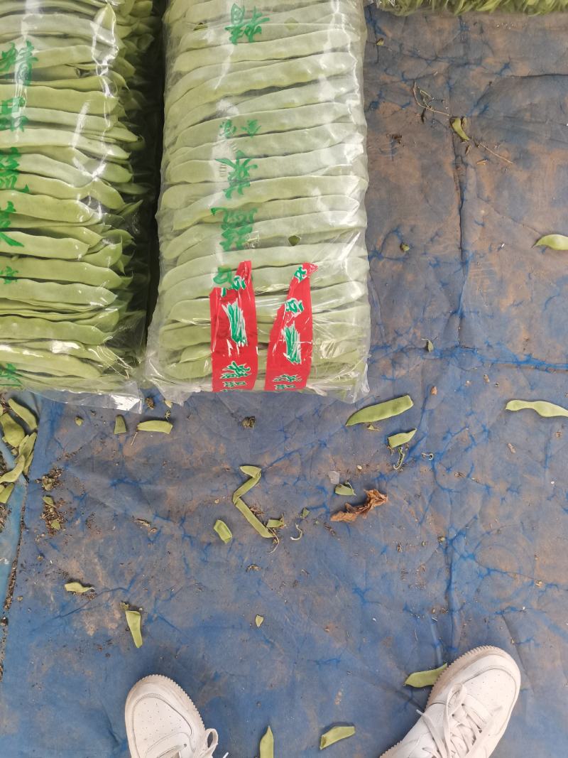山东省聊城市蔬菜产地供应