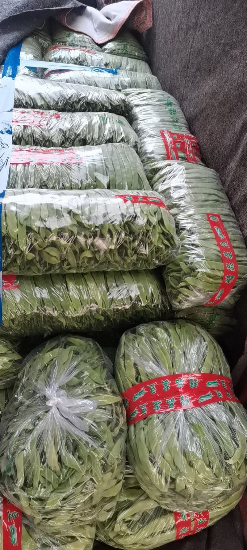 山东省聊城市蔬菜产地供应