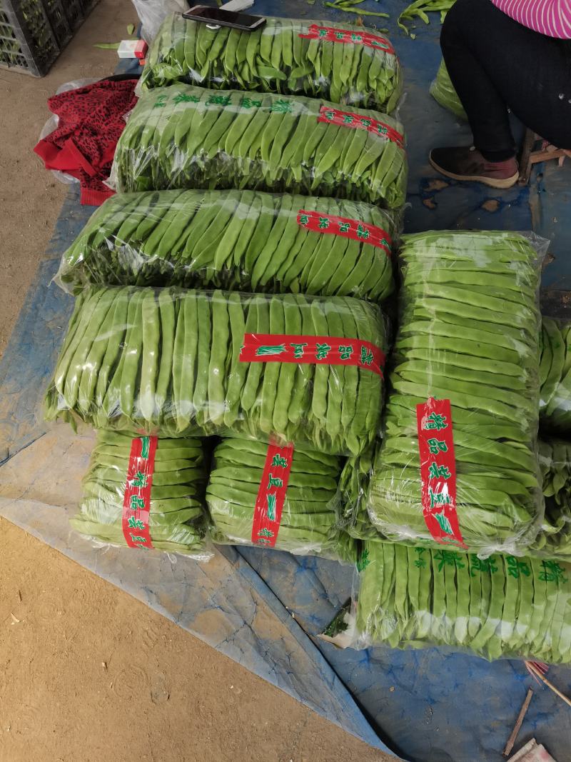 山东省聊城市蔬菜产地供应