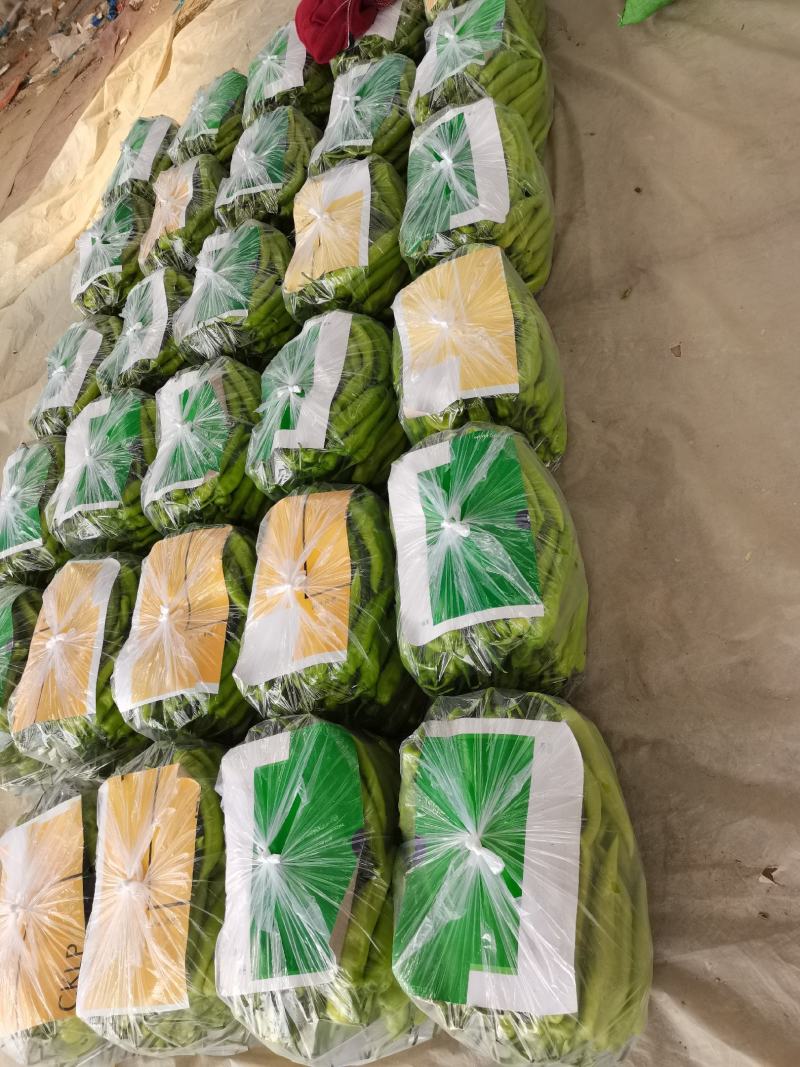 山东省聊城市蔬菜产地供应