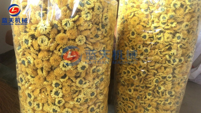 菊花烘干机七月菊烘干机金丝皇菊烘干房野菊花烘干设备