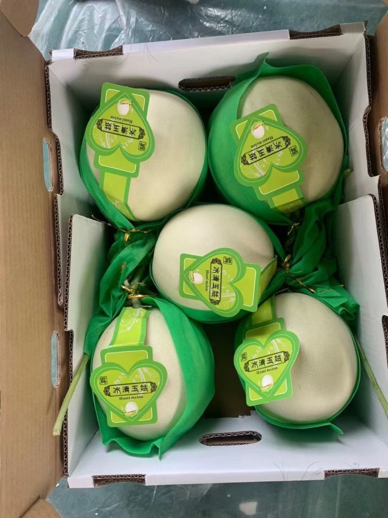 玉姑，冰淇淋玉姑，精品冰清玉姑