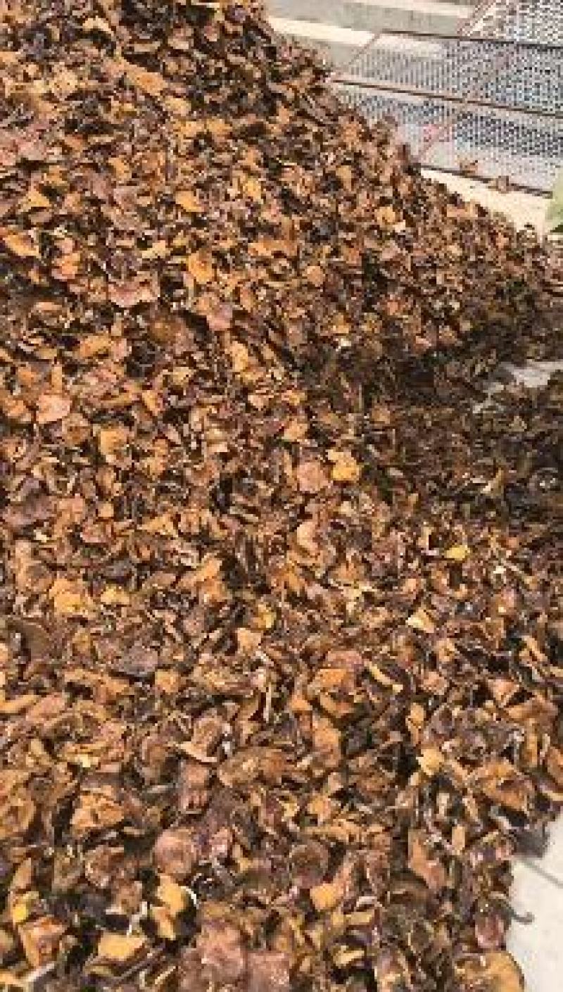 松蘑烤干，2.5的小块，价格便宜，精选细挑！质量保障！