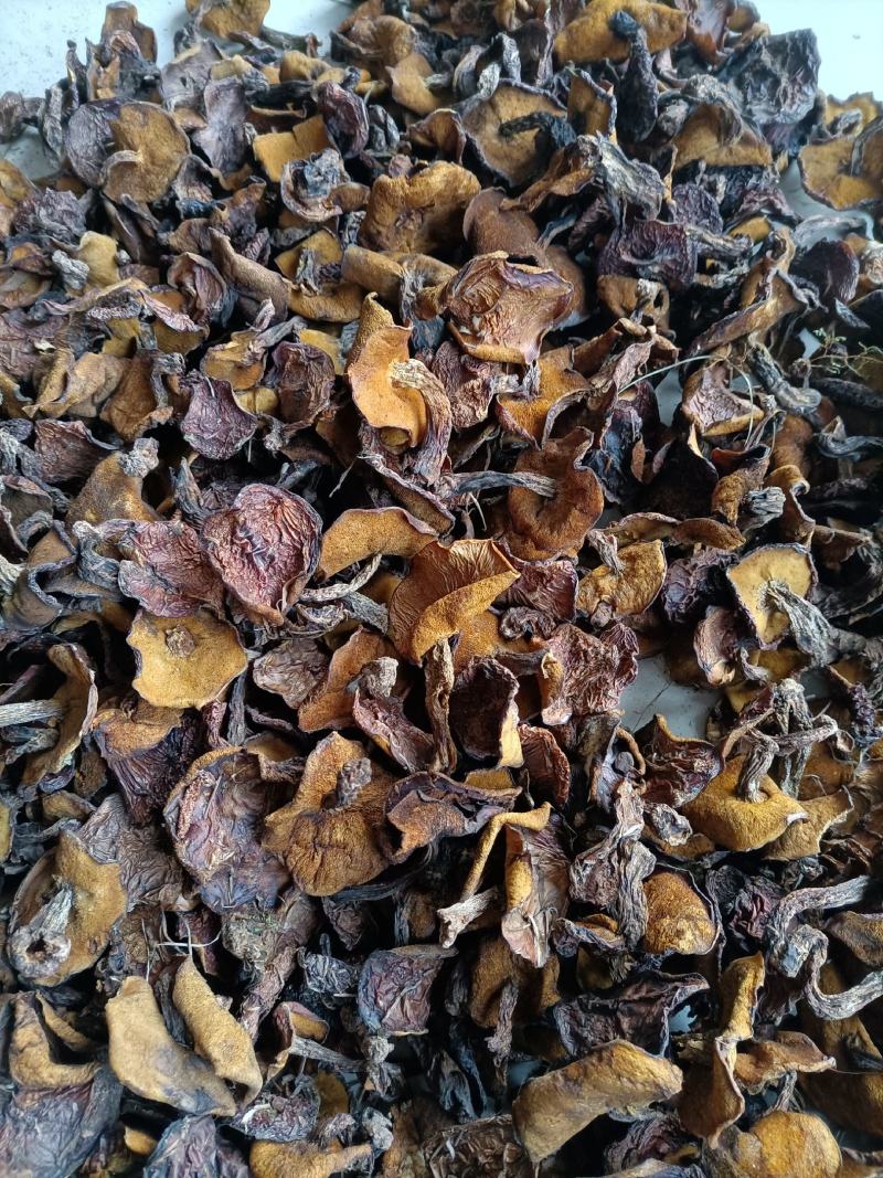 松蘑烤干，2.5的小块，价格便宜，精选细挑！质量保障！