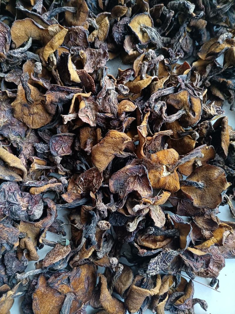 松蘑烤干，2.5的小块，价格便宜，精选细挑！质量保障！