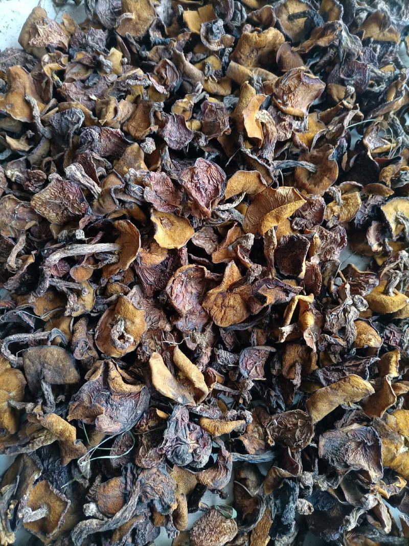 松蘑烤干，2.5的小块，价格便宜，精选细挑！质量保障！