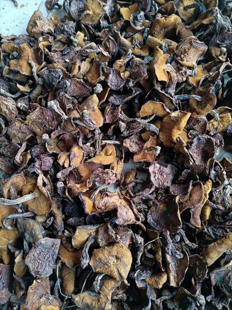 松蘑烤干，2.5的小块，价格便宜，精选细挑！质量保障！