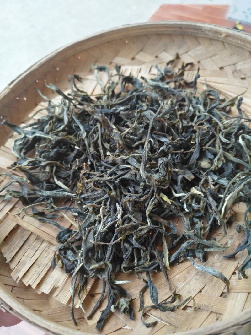 无量山古树茶