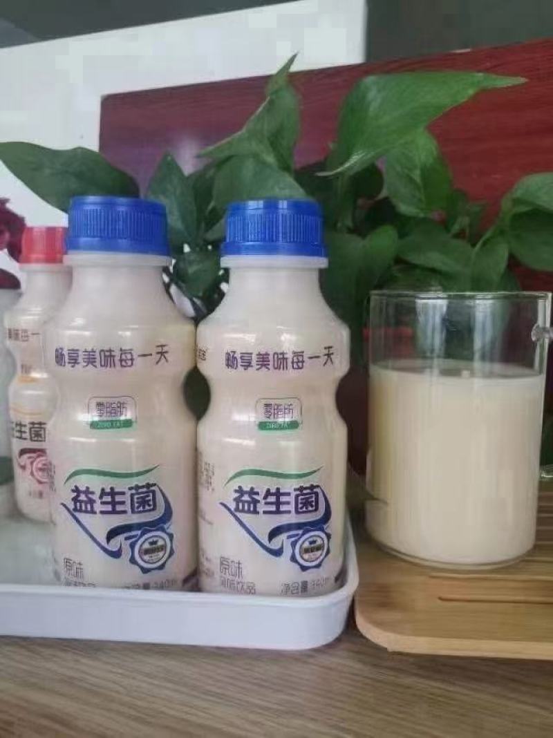 益生菌原味草莓味最新日期跑江湖摆地摊火爆产品