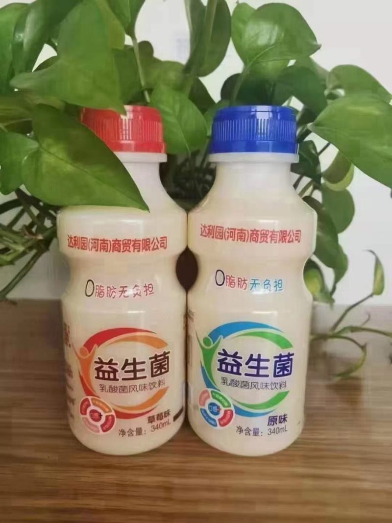 益生菌原味草莓味最新日期跑江湖摆地摊火爆产品