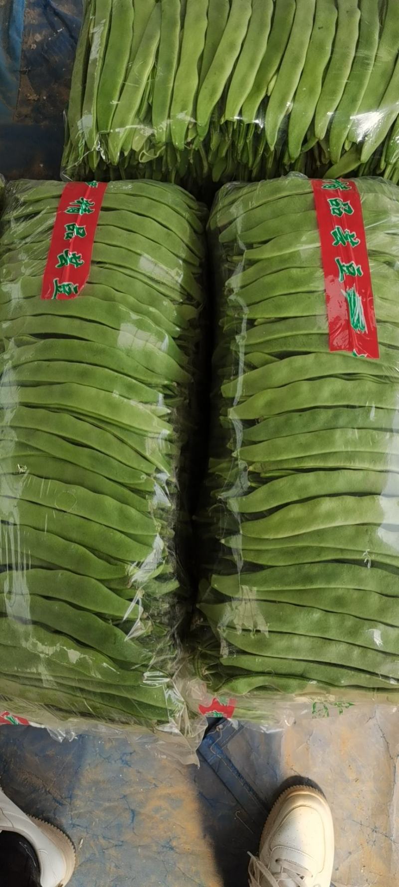 山东省聊城市蔬菜产地供应