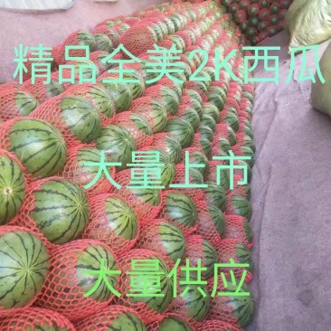 潍坊2K西瓜基地大量上市，产地直供，一手货源，量大质优