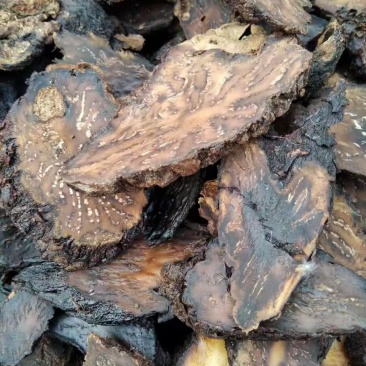 肉苁蓉新疆软大云高含量片大均匀一公斤起包邮
