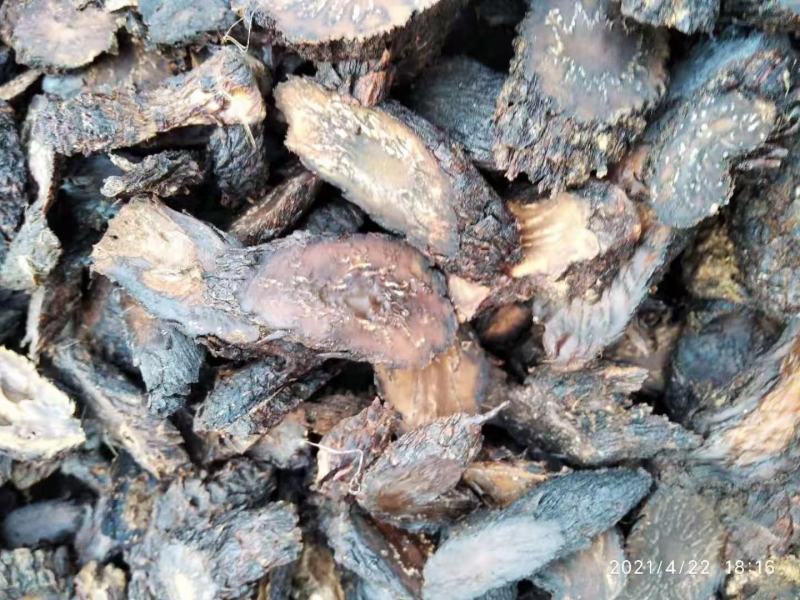 肉苁蓉新疆软大云高含量片大均匀一公斤起包邮