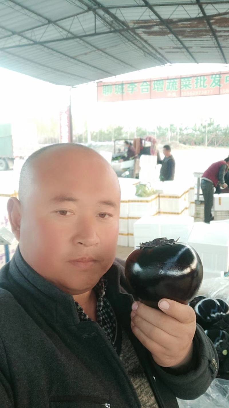 紫光圆茄大量供应果型圆个头匀实产地直供直发需要的联系