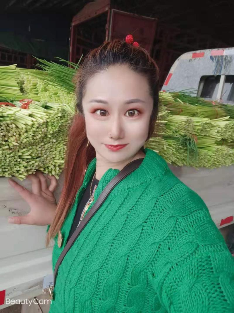 山东蒜苔已大量上市，基地直销，一手货源可代发全国各地批发
