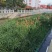 人工浮岛种植浮床组装生态浮岛景观净化水质