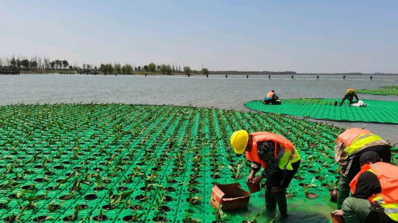 人工浮岛种植浮床组装生态浮岛景观净化水质