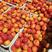 【杏】“清涧山地红梅杏”十万亩基地现摘现发酸甜可口