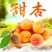 【杏】“清涧山地红梅杏”十万亩基地现摘现发酸甜可口