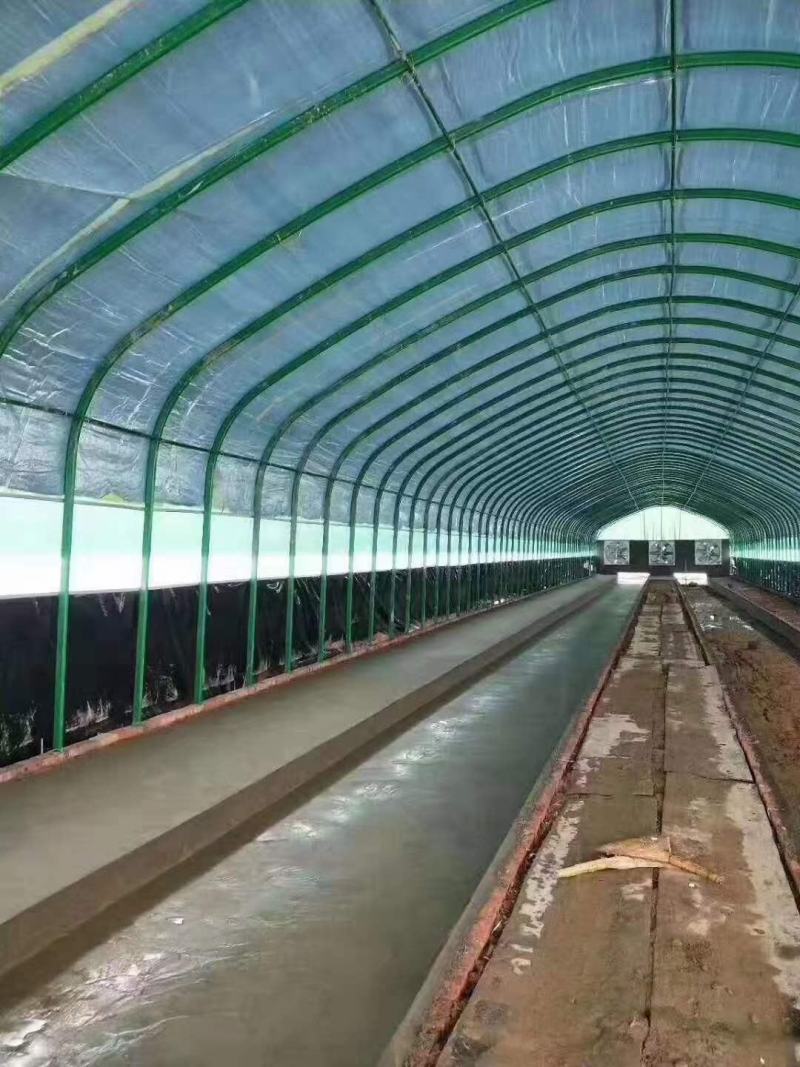 包塑椭圆管大棚包塑圆管大棚种植棚养殖大棚包安装