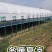新型养猪大棚全套冬暖夏凉结实耐用全国发货包建
