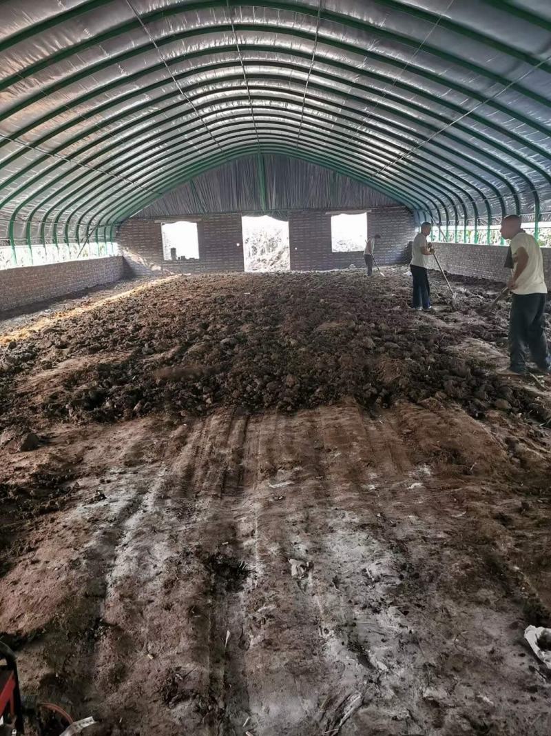 圆管钢架大棚种植大棚蔬菜大棚基地专用钢架大棚