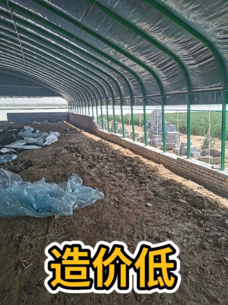 钢架大棚设计养殖大棚种植大棚连栋棚规划一条龙服务