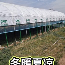 钢架大棚设计养殖大棚种植大棚连栋棚规划一条龙服务