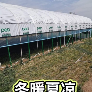 钢架大棚设计养殖大棚种植大棚连栋棚规划一条龙服务