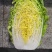 白菜黄心大白菜优质现货大量供应，个头均匀，3-5斤左右