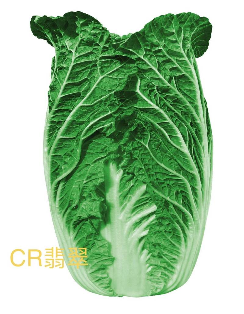 白菜黄心大白菜优质现货大量供应，个头均匀，3-5斤左右