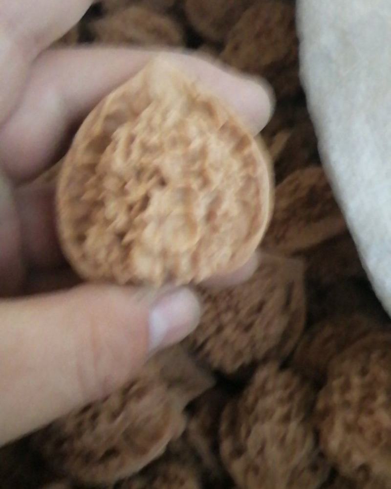 精品麒麟纹