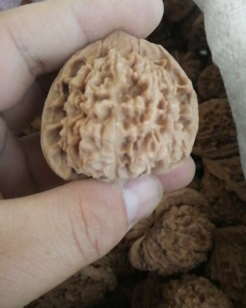 精品麒麟纹