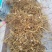 白花牛奶根，有香广东白花牛奶根