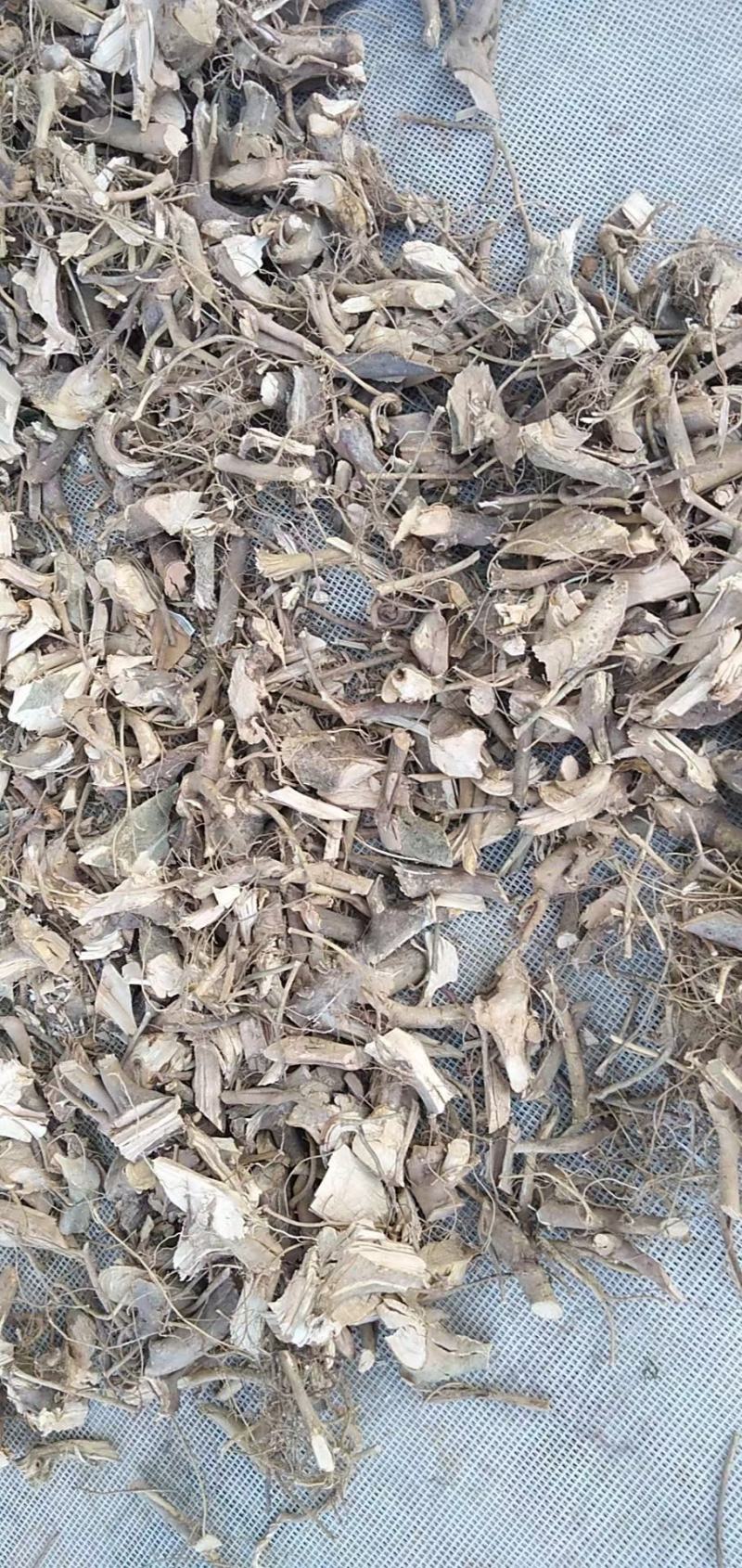 白花牛奶根，有香广东白花牛奶根