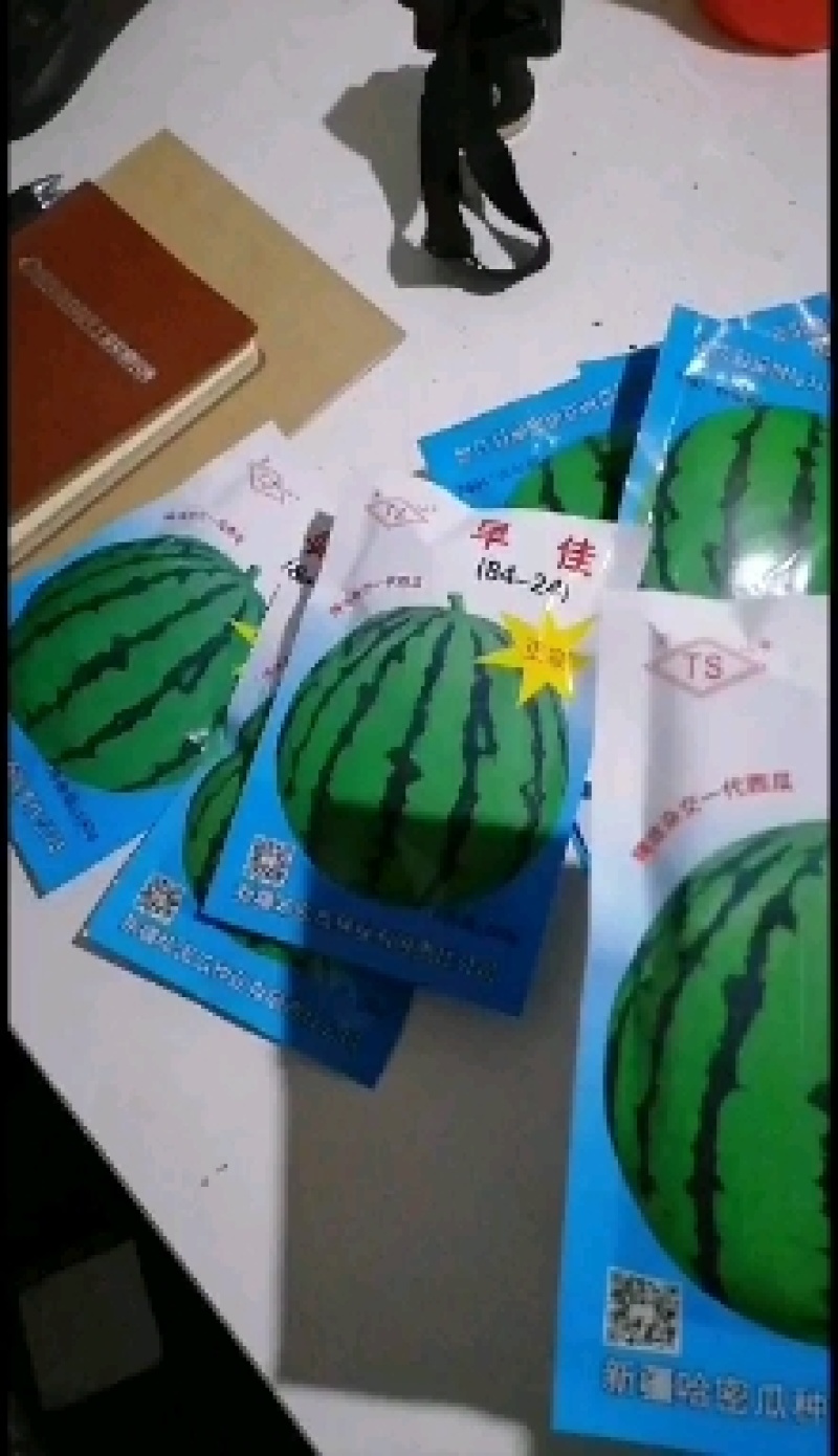 西瓜苗8424.美都西农八号，金城五号，安生甜王，直生苗