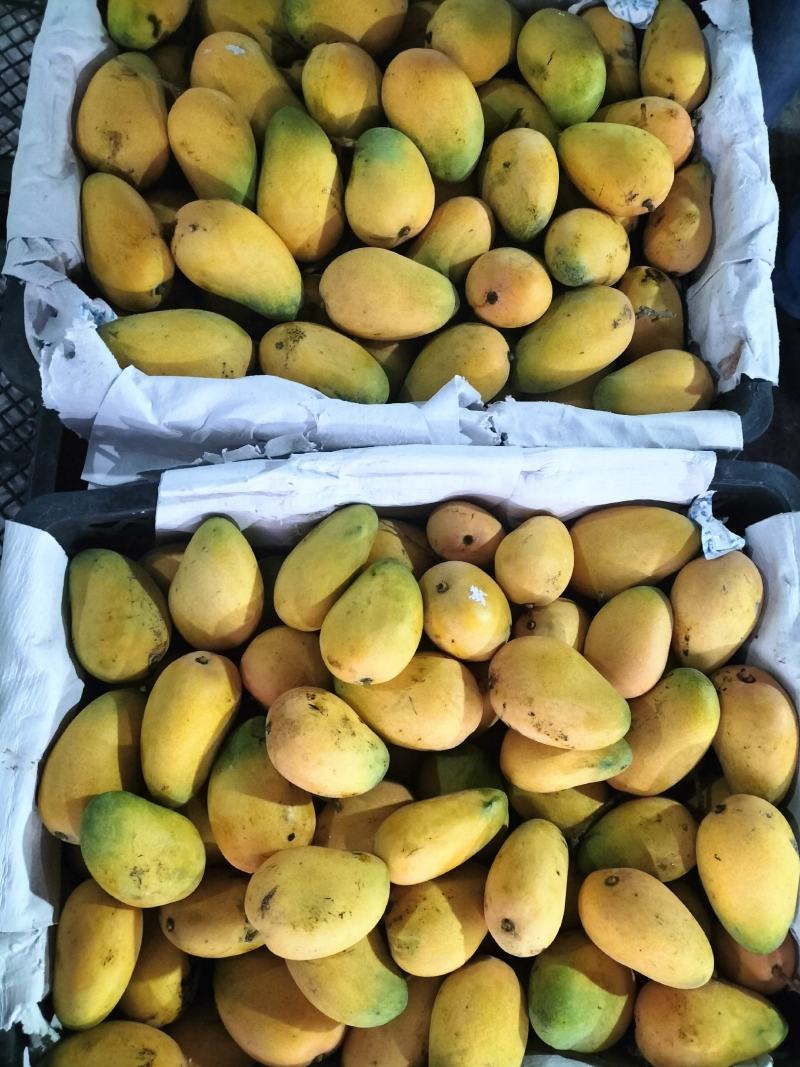大量供应批发小台芒诚招电商微商一件代发保证品质